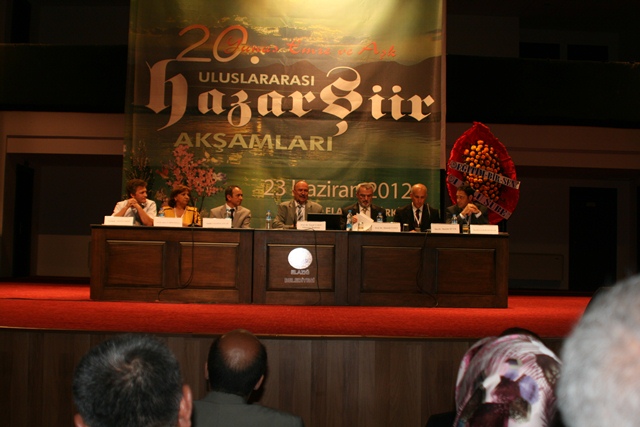 Panel